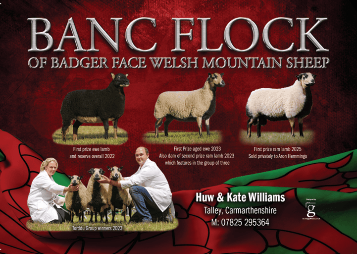 Huw & Kate Williams Torddu Torwen Banc