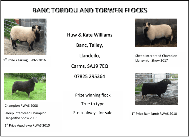 Banc Torddu and Torwen