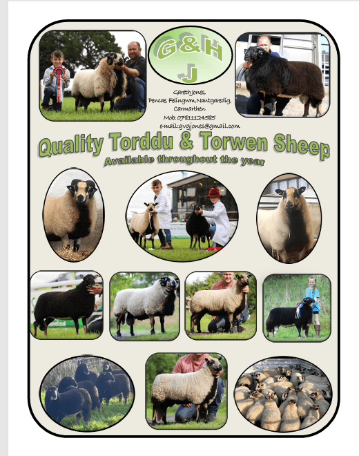 GHJ Flock Avert Torddu Torwen