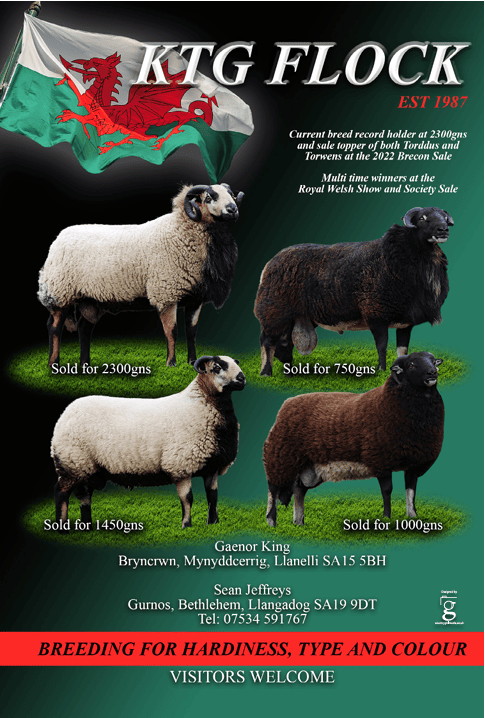 KTG Flock Advert