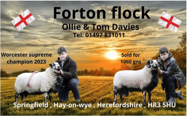 Acorn & Otterden Flock Kent