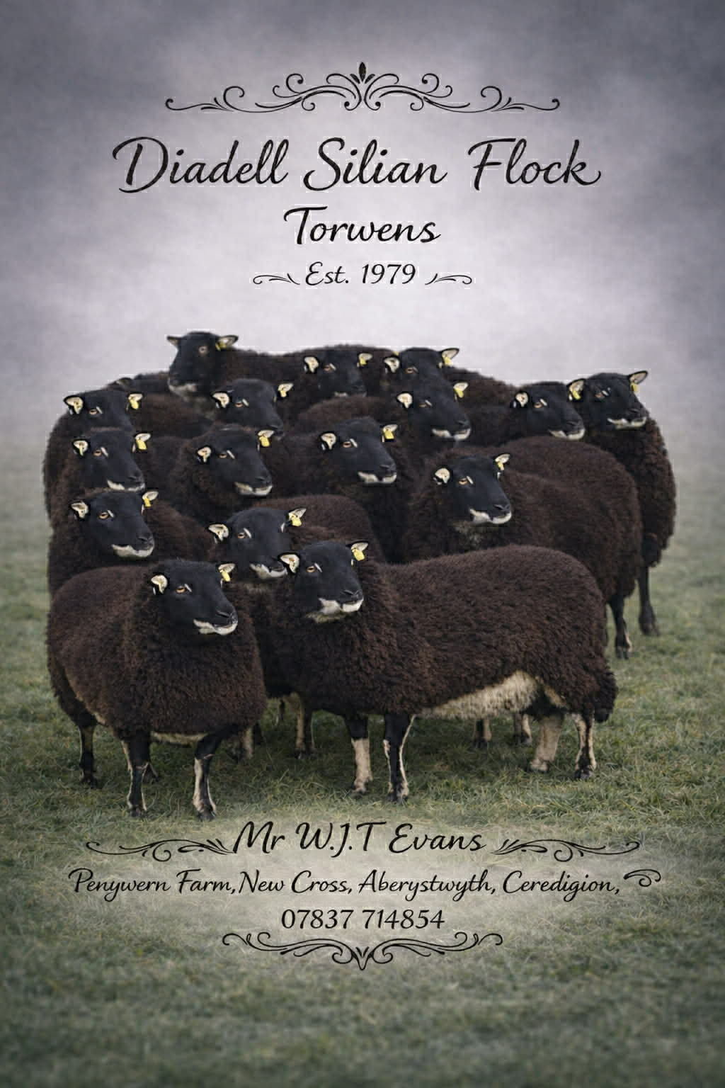 Torwen Diadell Tim Evans