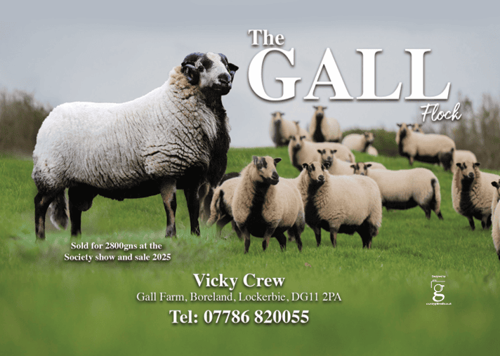 Vicki Crew Torddu Badger Gall