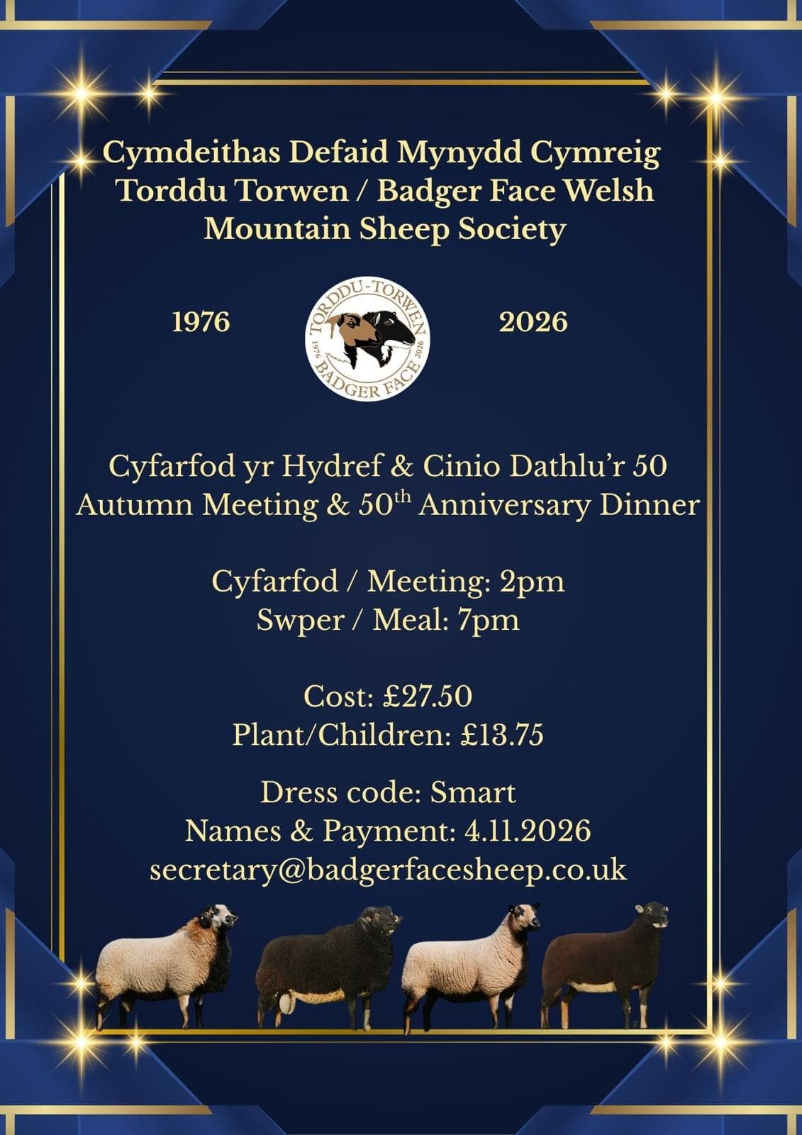 Anniversary Dinner Badger Face Welsh Mountain