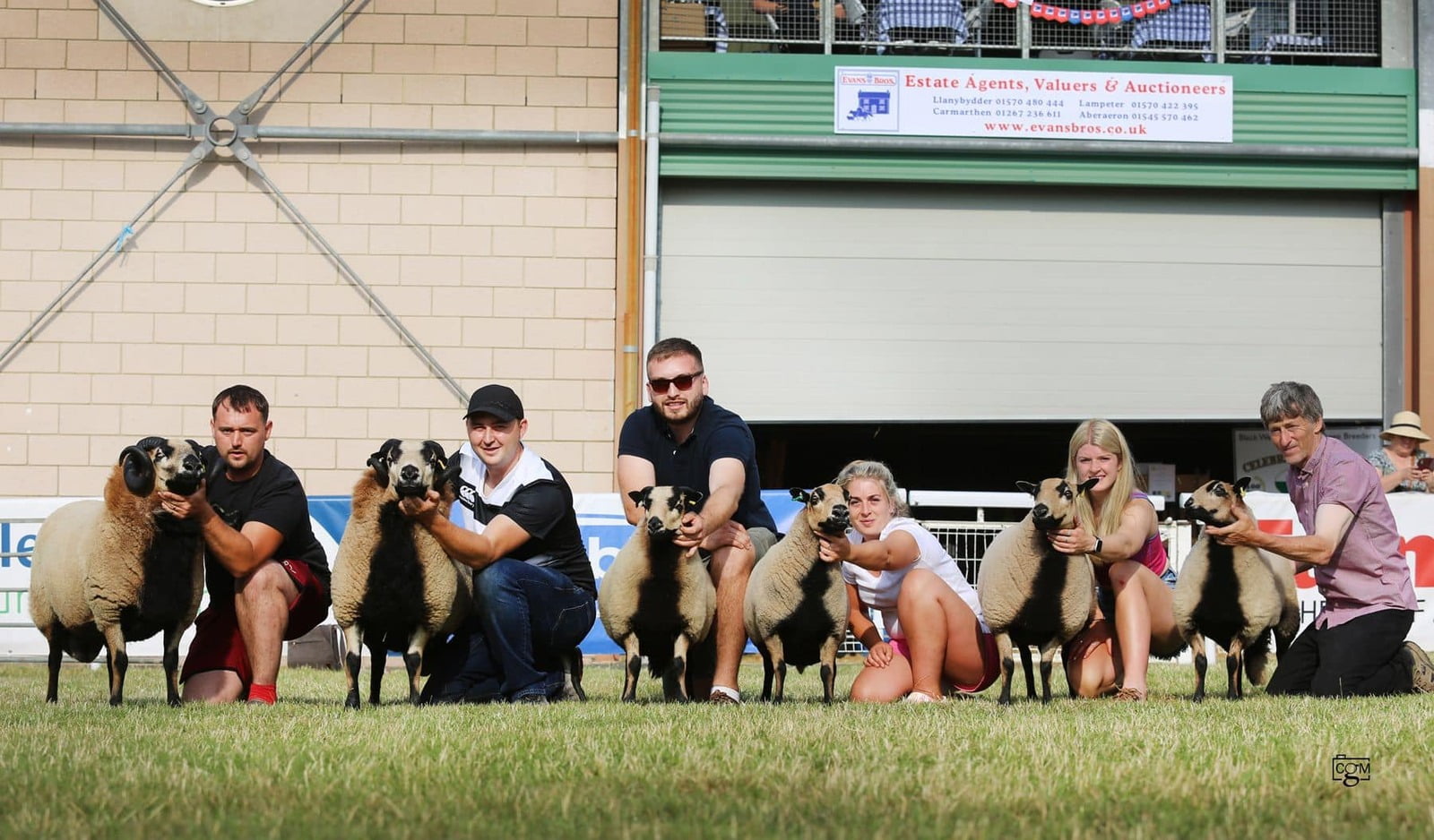 Torddu Class Winner at 2022 Royal Welsh Show