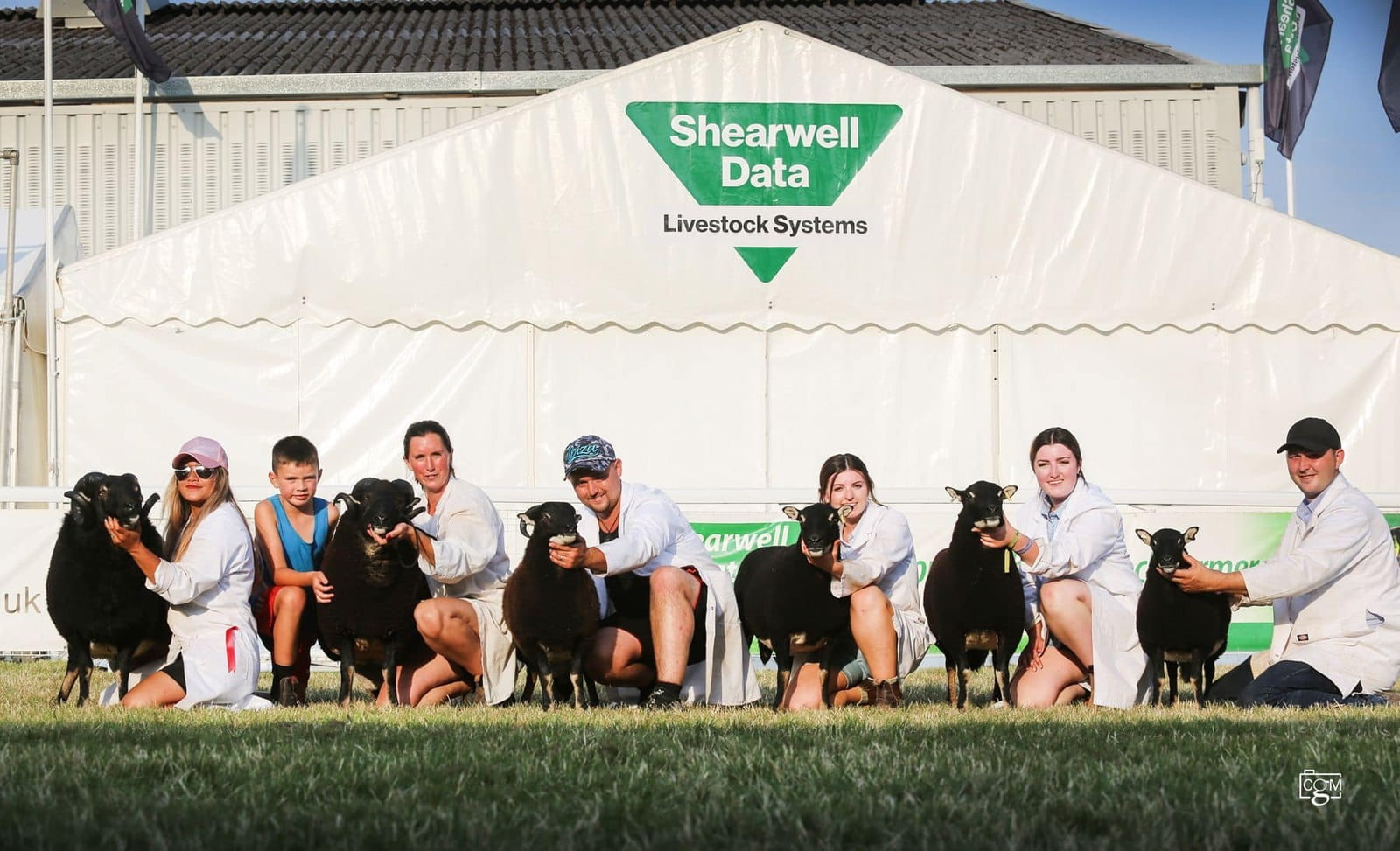 Royal Welsh Show 2022 Torwen Class winners