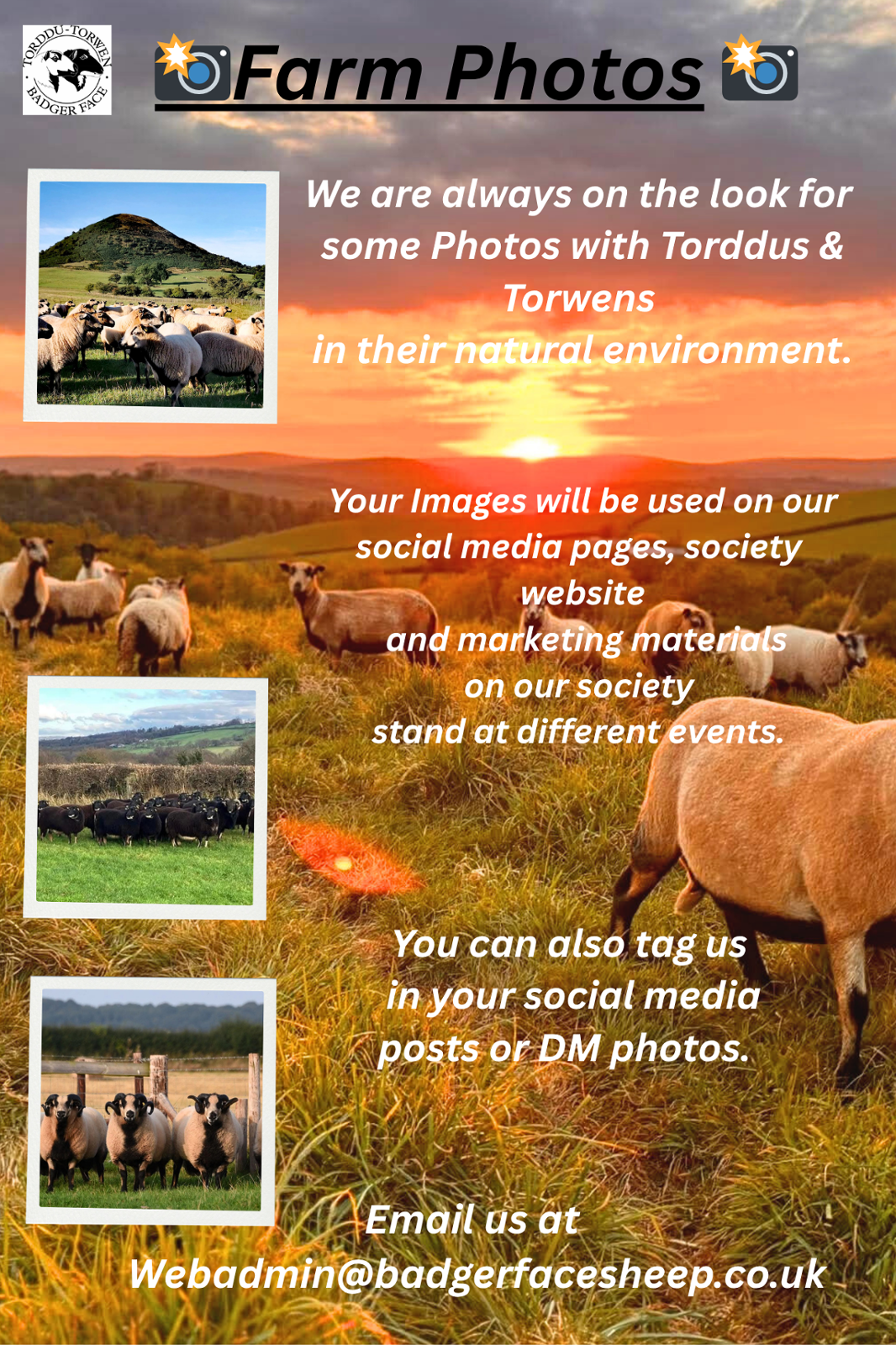 Torddu & Torwen Farm Photography