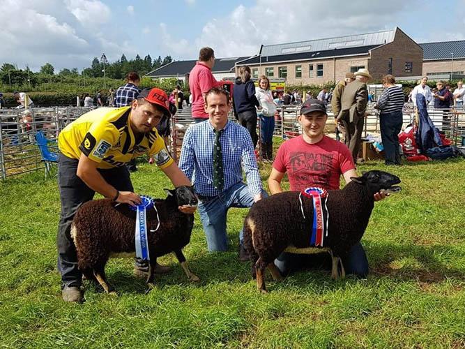 Show results 2019 | Badger Face Welsh Mountain Sheep Society