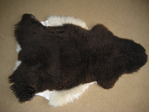 Torwen lambskin