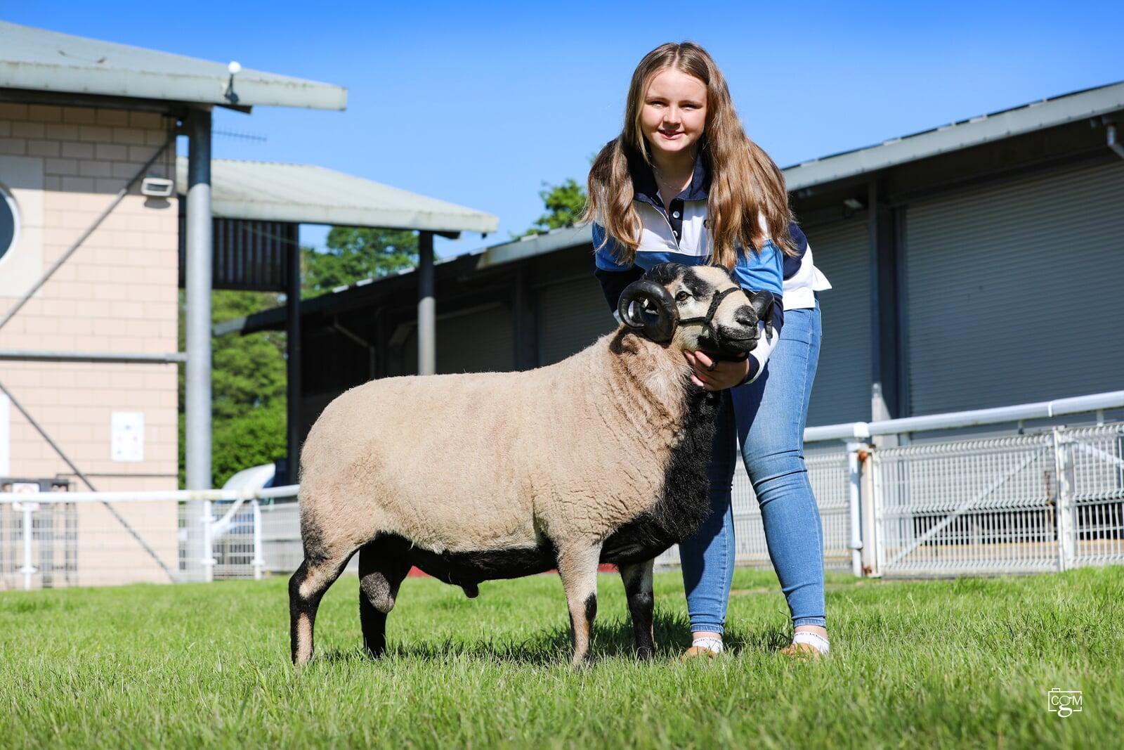Aged Ram Kay Richardson 
