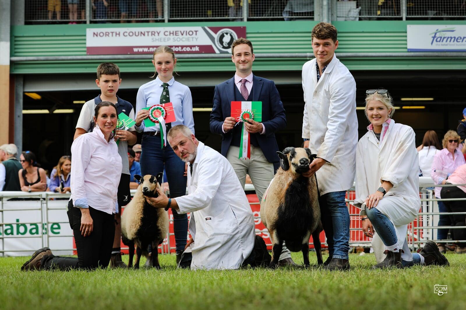 Royal Welsh Show 2024 Torddu Championships