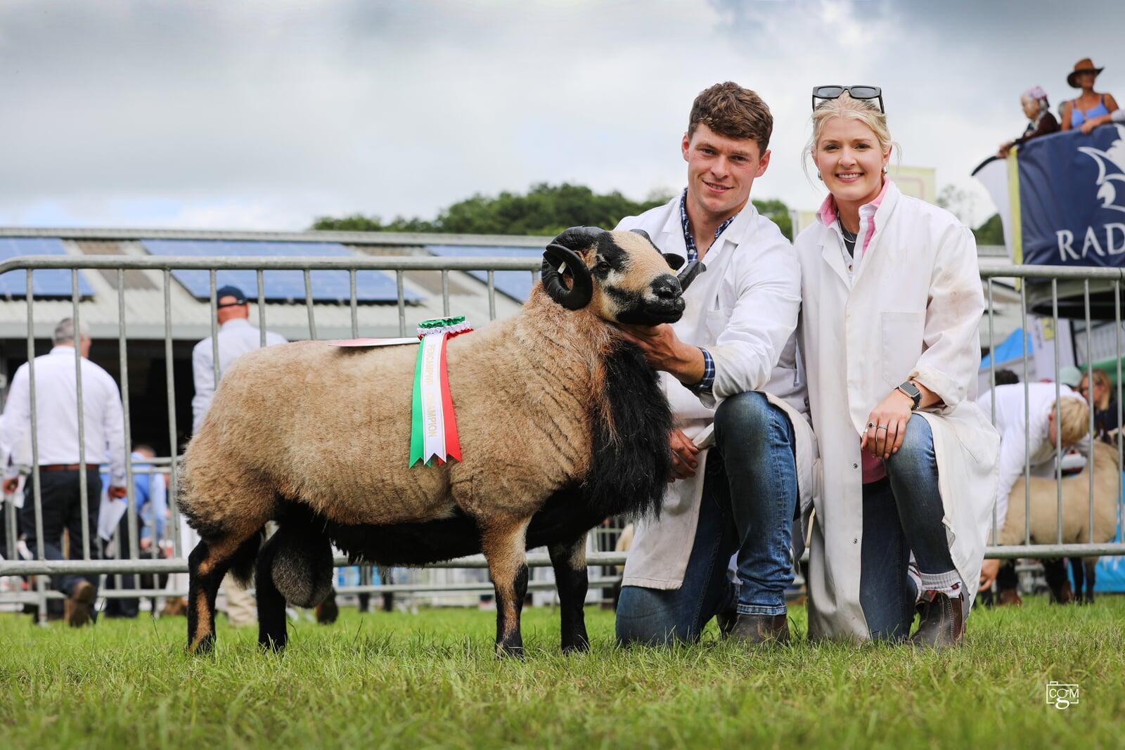 Royal Welsh Champion