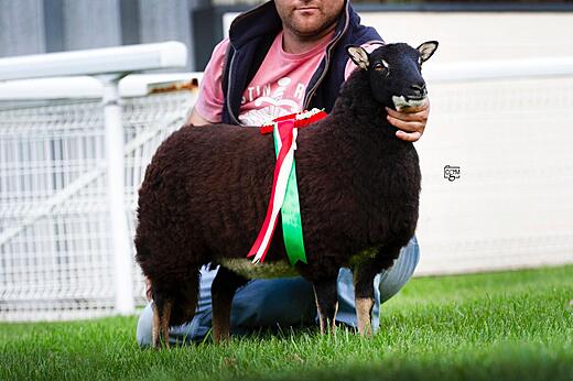 Torwen Champion