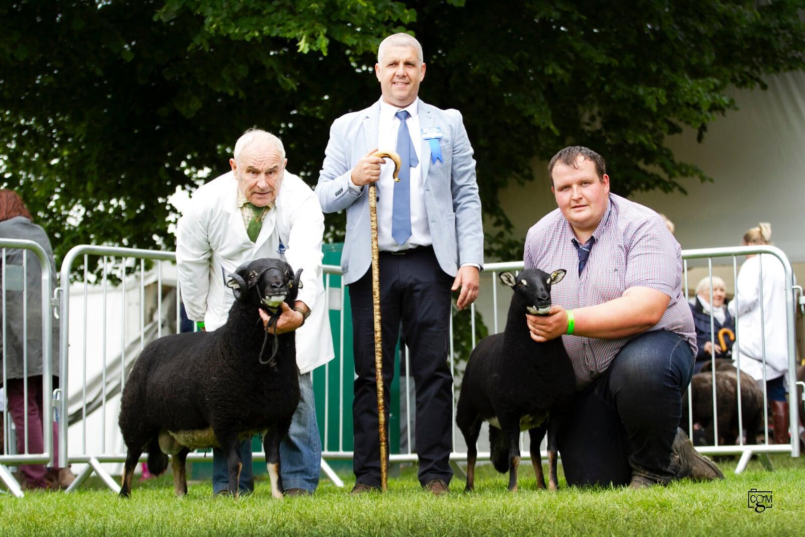 Three Counties Championship