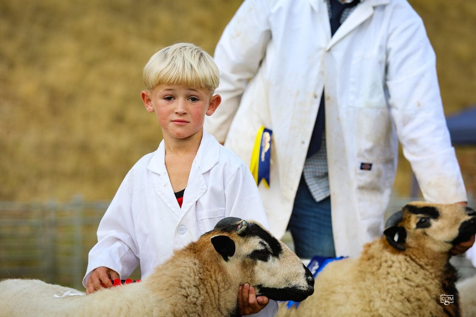 Junior Young Handler Winner
