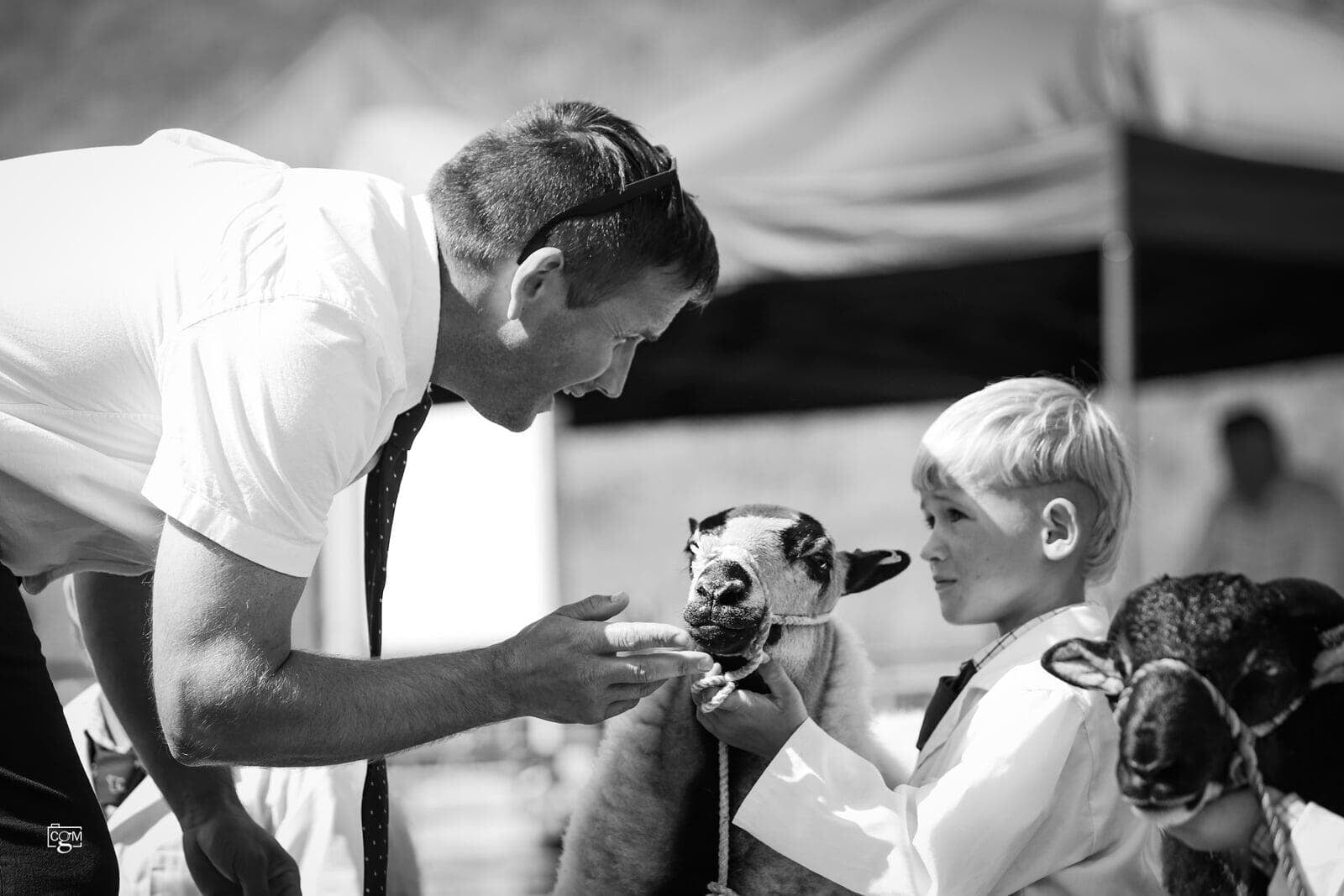 Young Handler