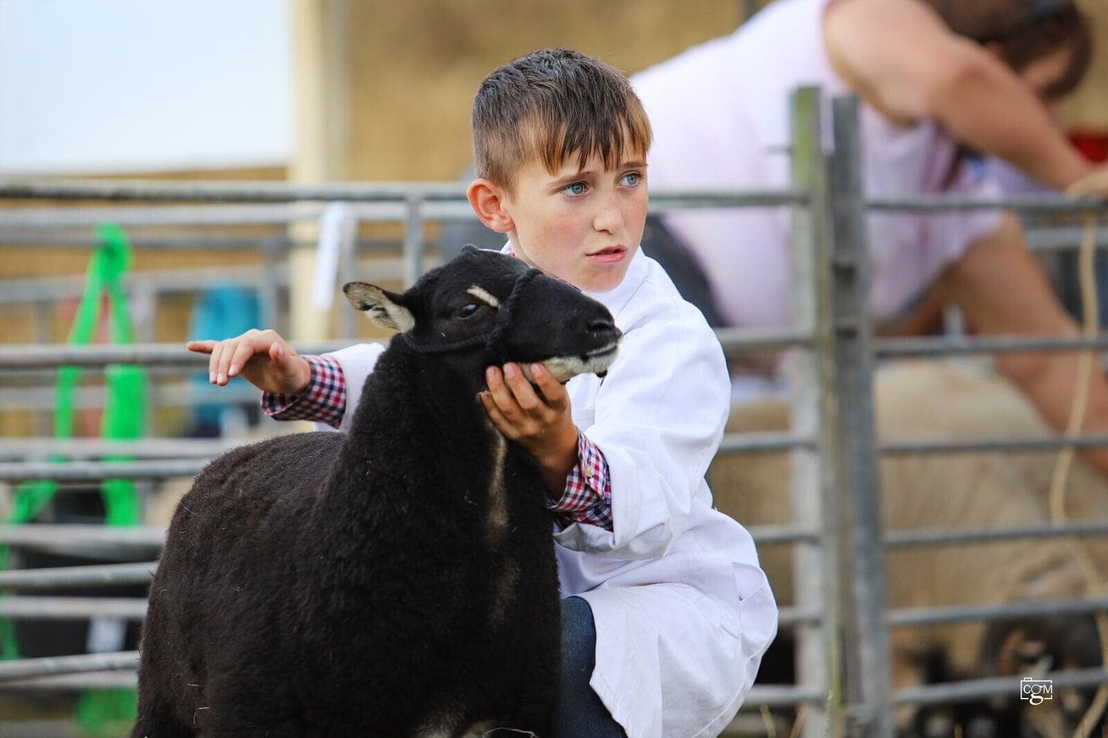 Young Handler