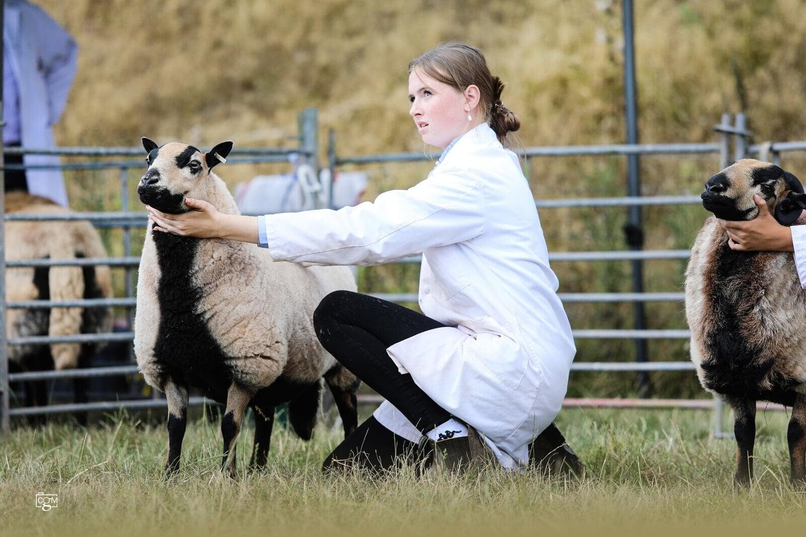 Senior Young Handler Winner
