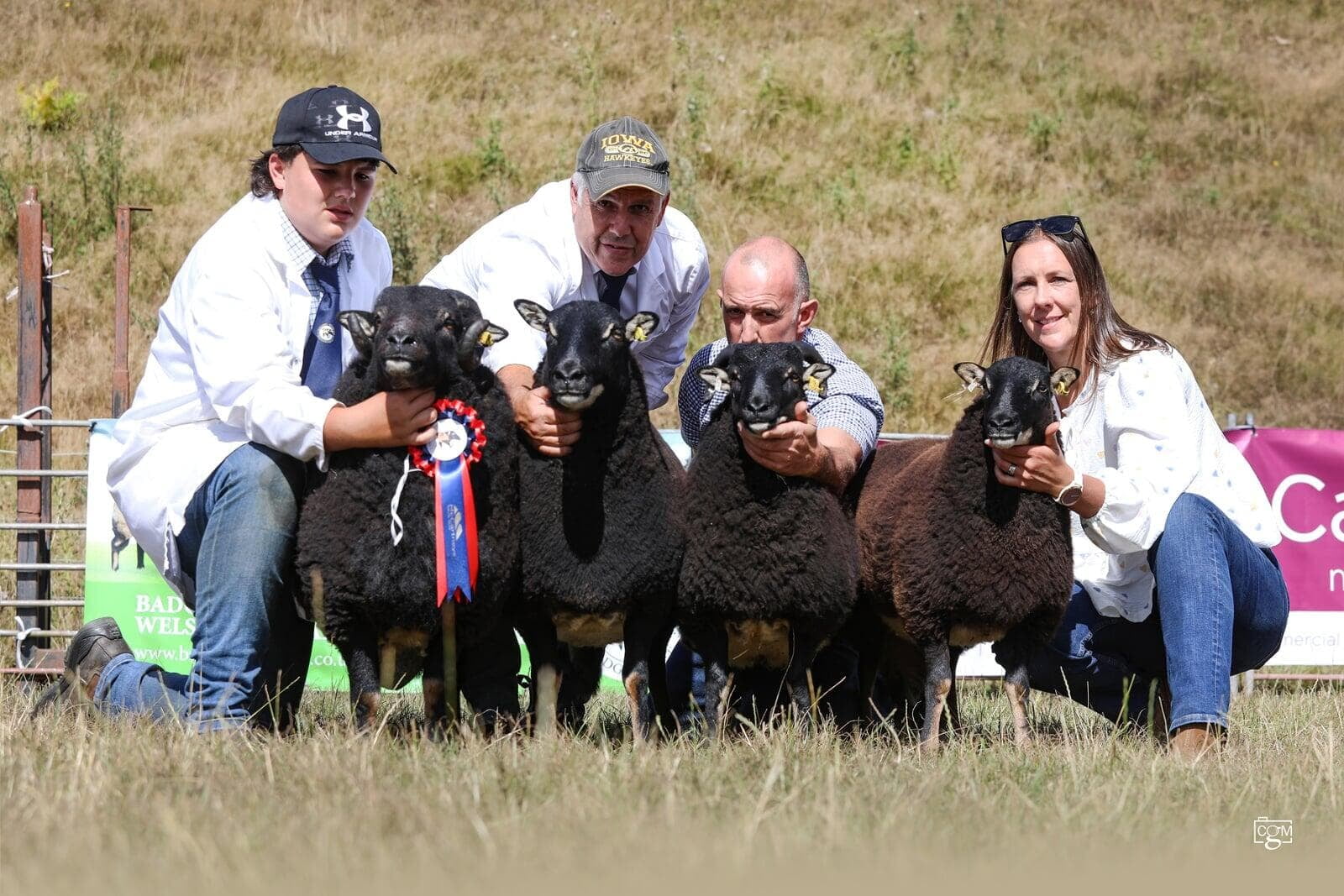 Torwen Group of 4