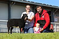 Torwen Reserve Breed Champion Shearling Ewe