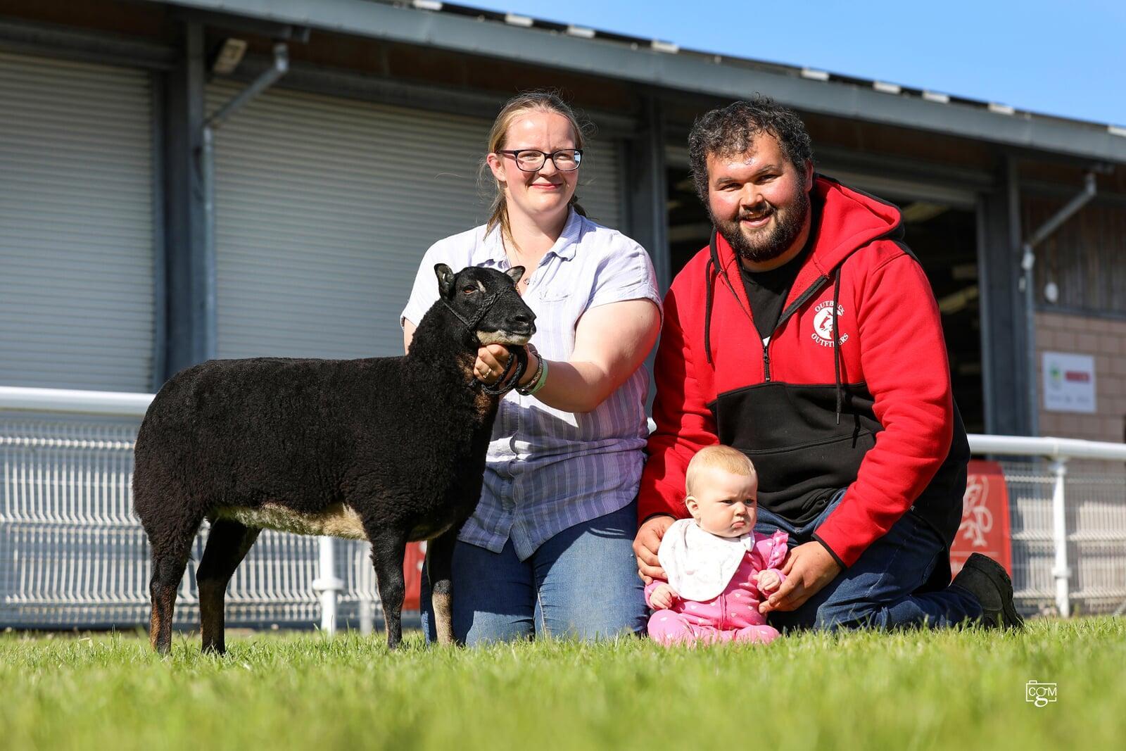 Torwen Reserve Breed Champion Shearling Ewe