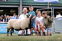 Torddu Shearling Ram
