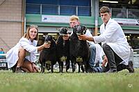 Torwen Group Champion