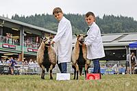 Young Handler stars