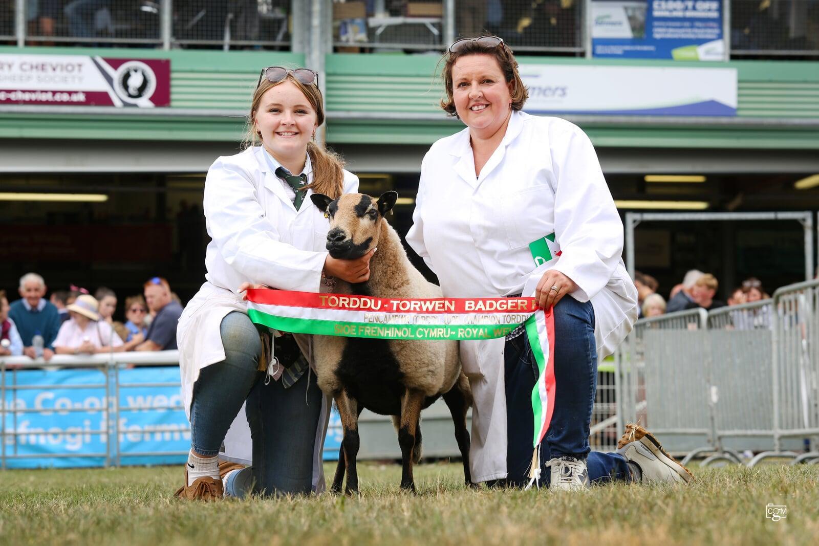 Torddu Champion
