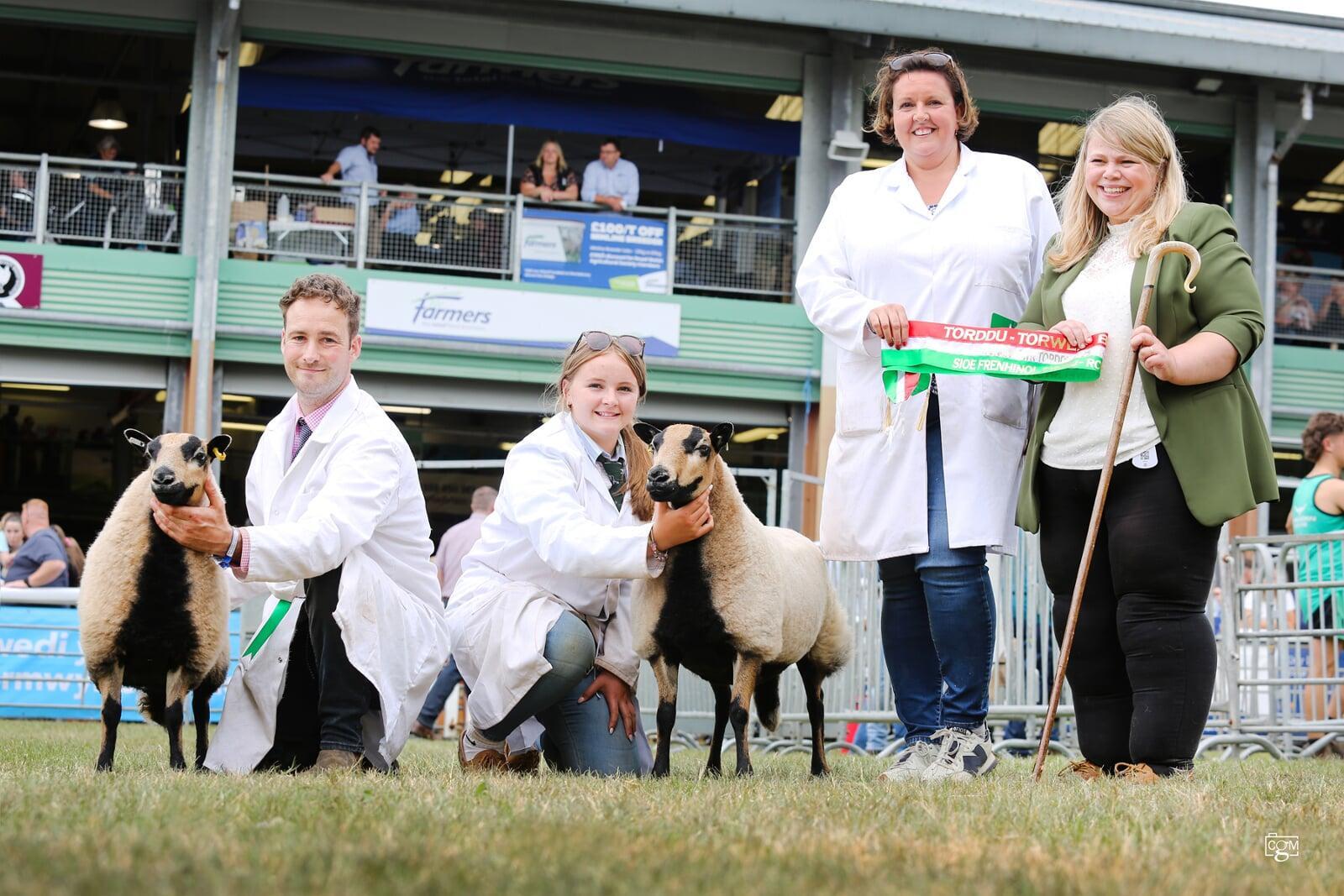 Torddu Champion Reserve Judge Gail Gribble