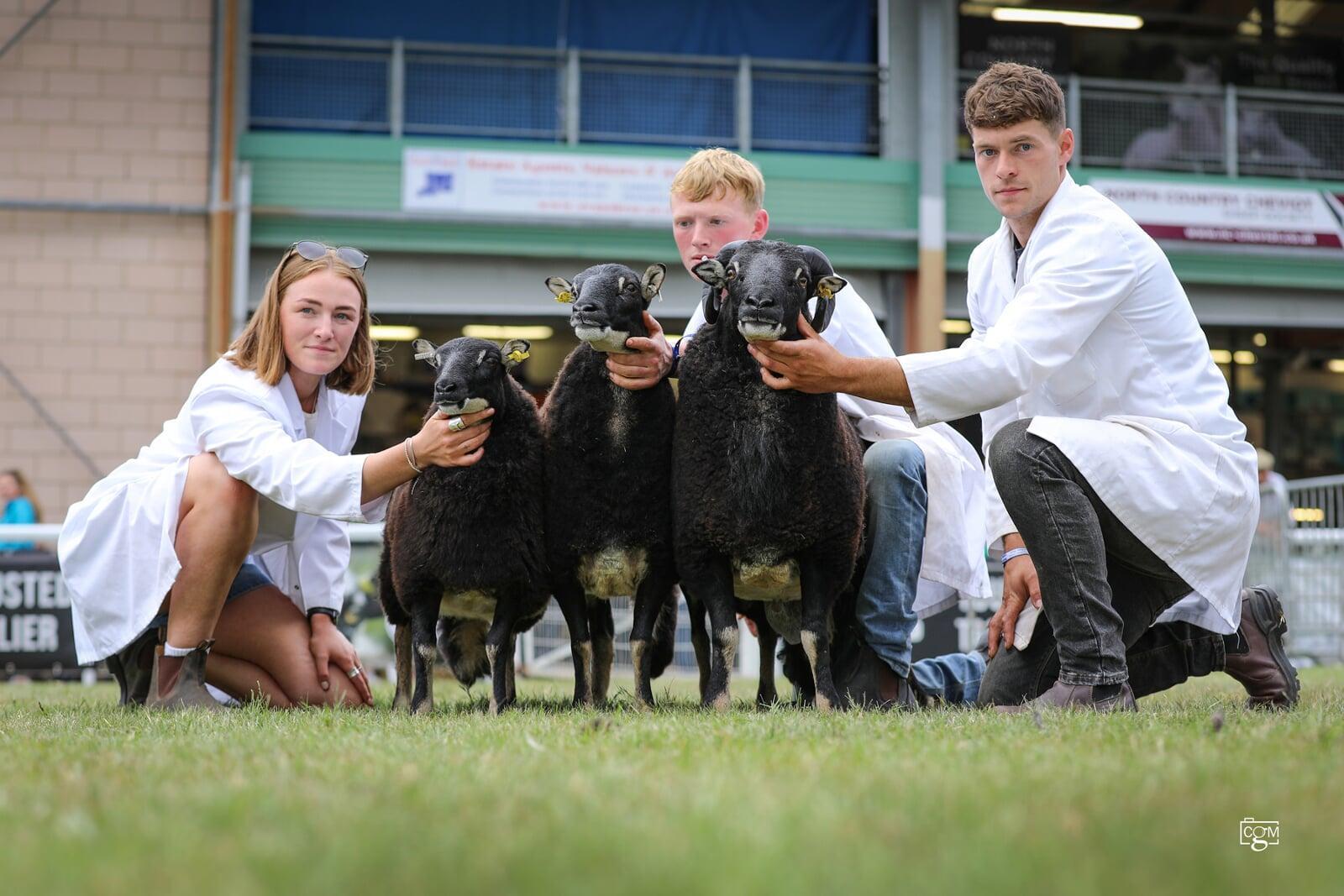 Torwen Group Champion