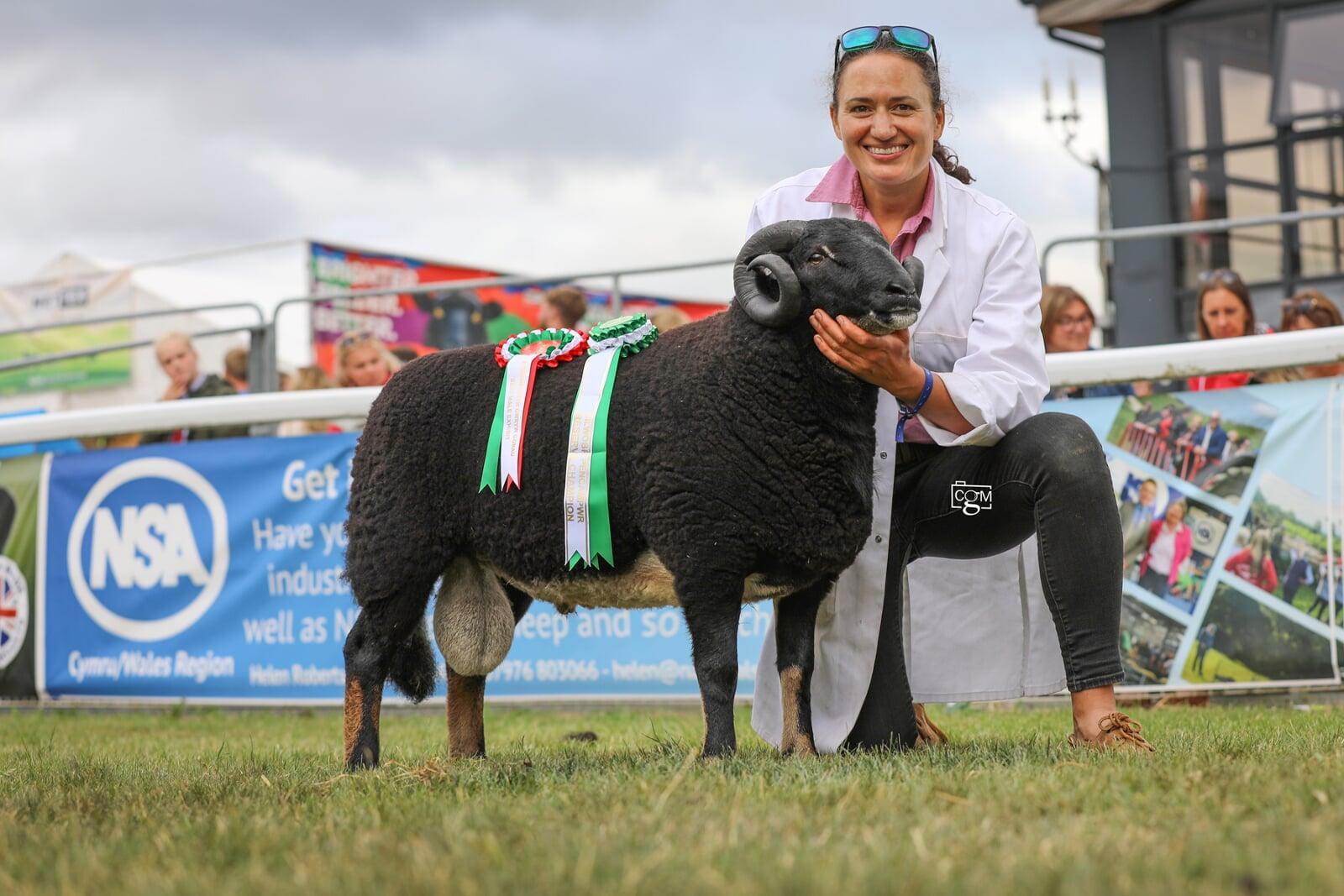 Torwen Reserve Breed Champion
