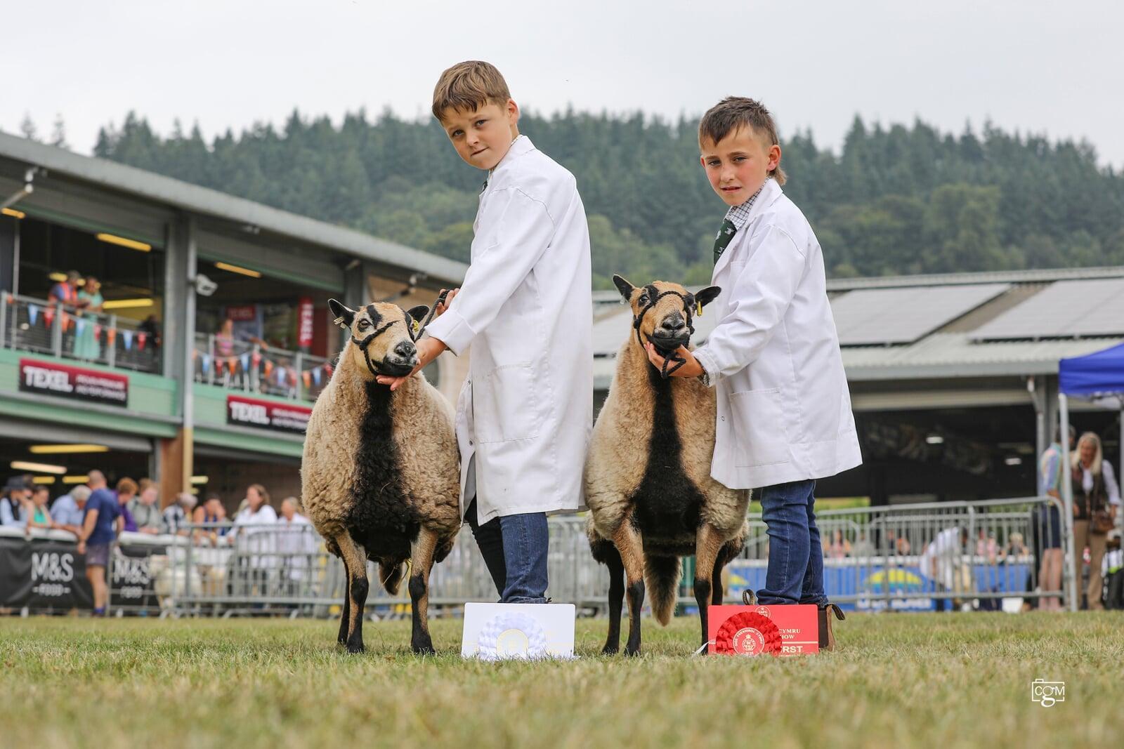 Young Handler stars