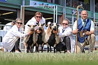 Torddu Champion Group