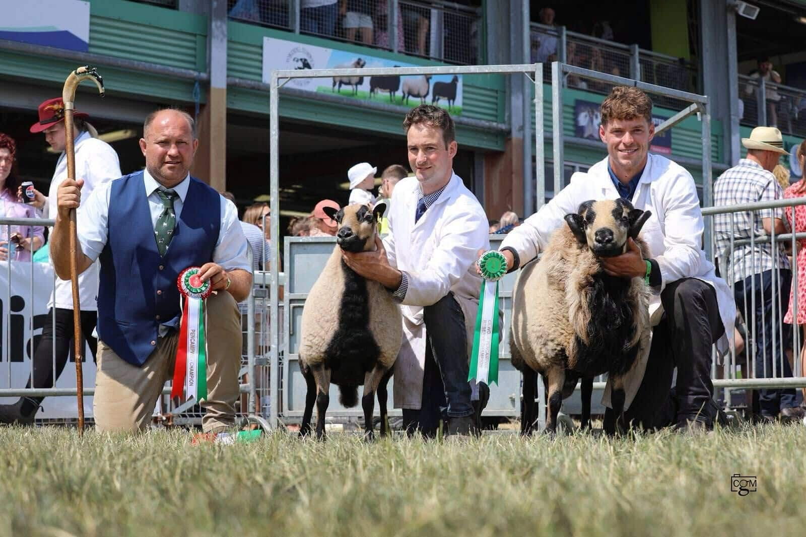 Torddu Section Champion and Reserve