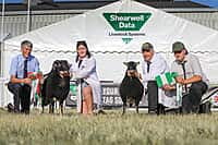 Torwen Champion Reserve Champion