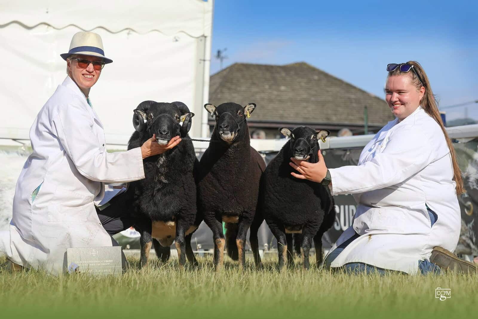 Champion Torwen Group